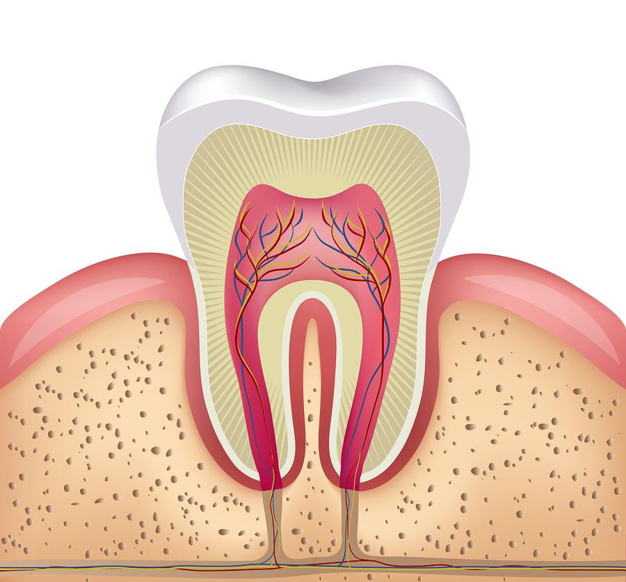 5 Signs You Need a Root Canal (And Why It's Not as Scary as You Think)